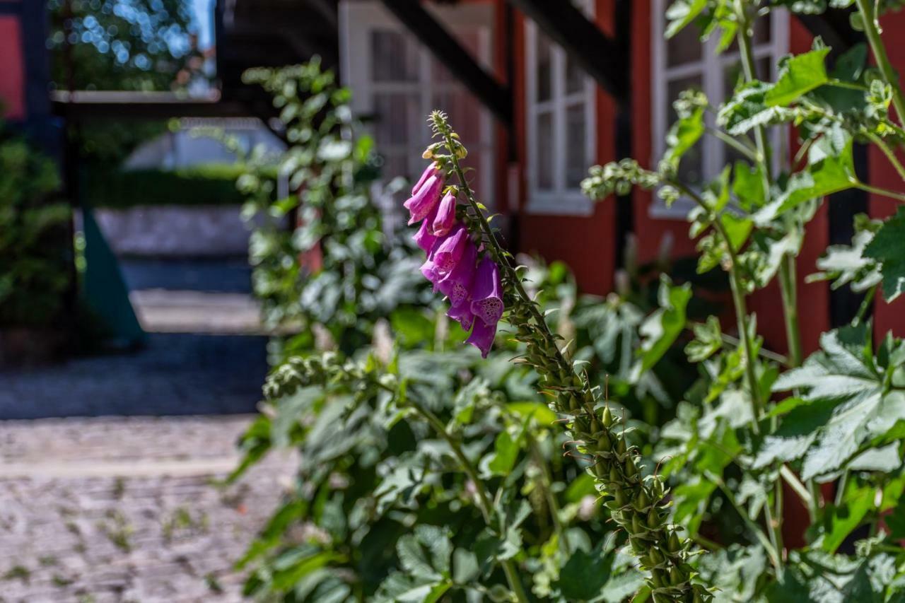 Pension Sandbogaard Allinge-Sandvig Exterior foto